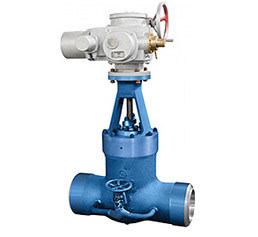 高溫高壓電站閘閥 Z960/2Y-P54140V